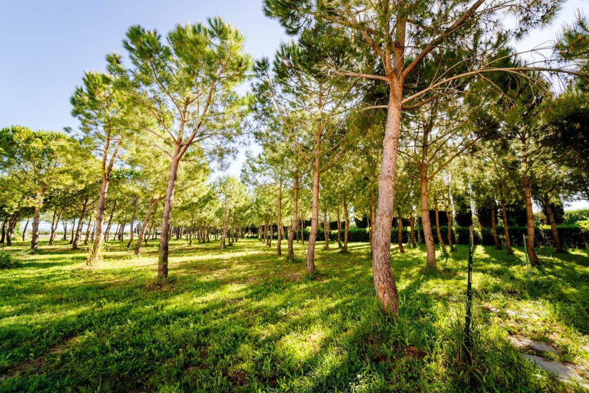 Agriturismo Bio San Mamiliano Grosseto Exterior photo